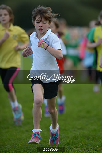 Year Five Girls Cross Country