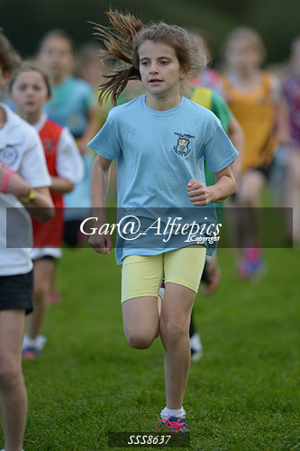 Year Five Girls Cross Country