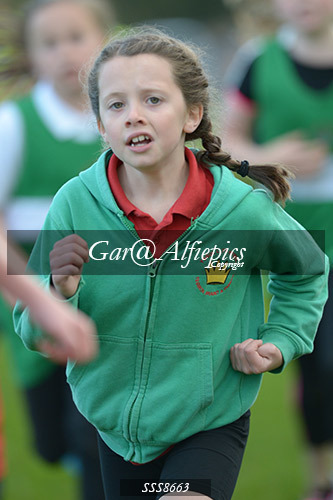 Year Five Girls Cross Country