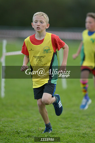Year Six Boys Cross Country