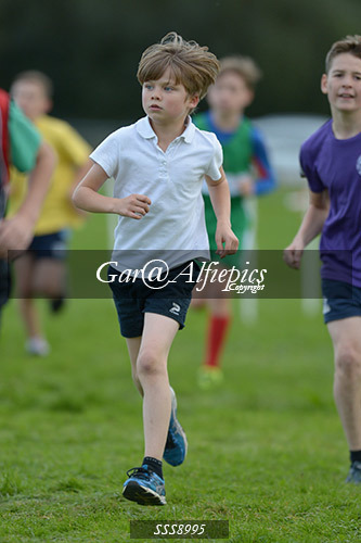Year Six Boys Cross Country