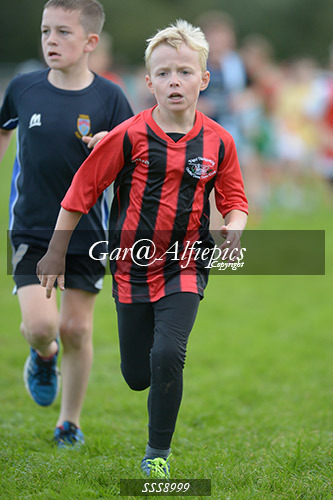 Year Six Boys Cross Country