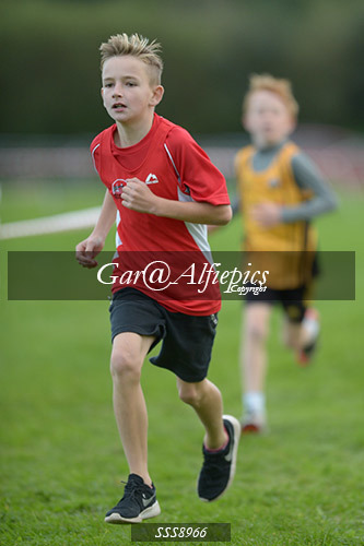 Year Six Boys Cross Country