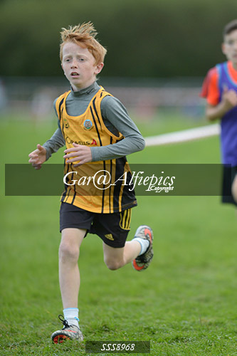 Year Six Boys Cross Country
