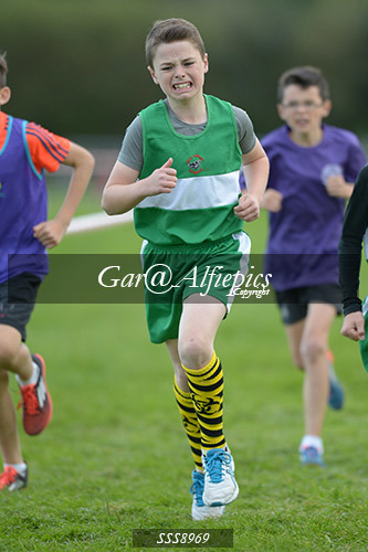 Year Six Boys Cross Country