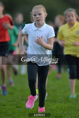 Year Six Girls Cross Country