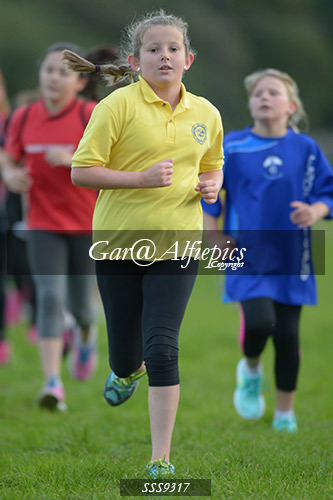 Year Six Girls Cross Country