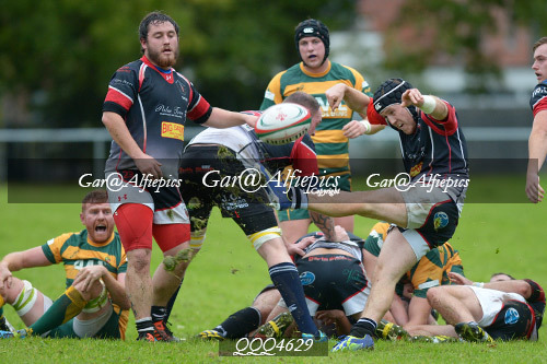 Old Illtydians RFC v Pontyclun RFC