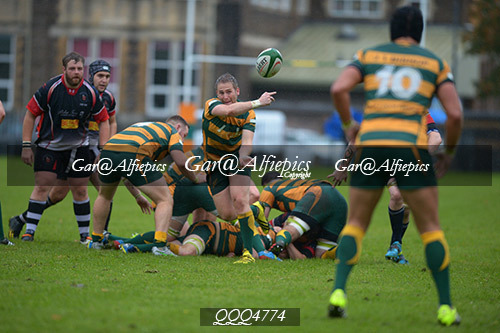 Old Illtydians RFC v Pontyclun RFC