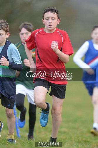 Year Seven Boys