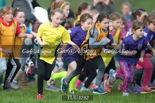 Dyfed Primary Schools Cross Country Year 3 Girls