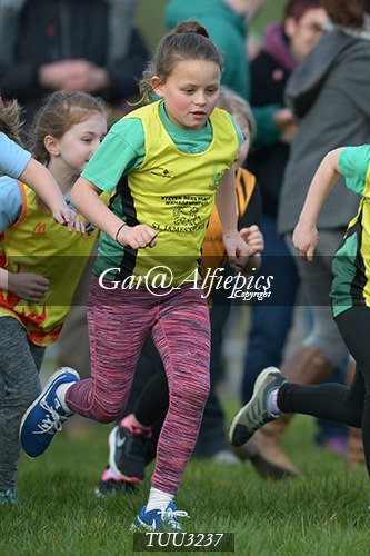 Dyfed Primary Schools Cross Country Year 3 Girls