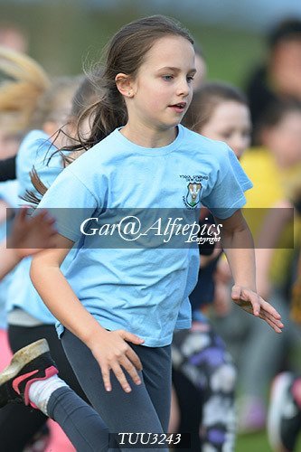 Dyfed Primary Schools Cross Country Year 3 Girls