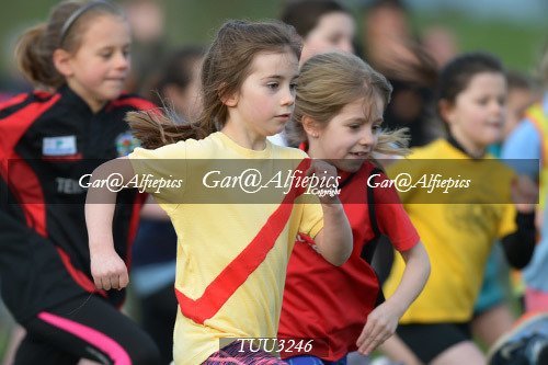 Dyfed Primary Schools Cross Country Year 3 Girls