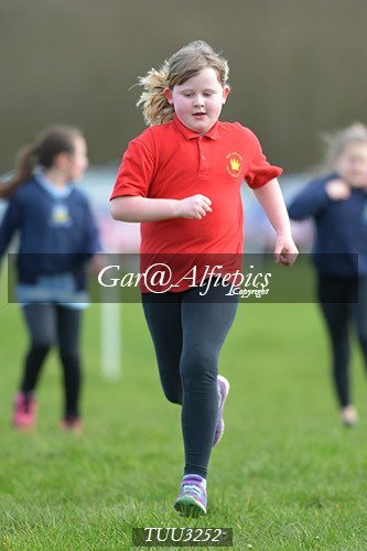 Dyfed Primary Schools Cross Country Year 3 Girls