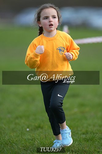 Dyfed Primary Schools Cross Country Year 3 Girls