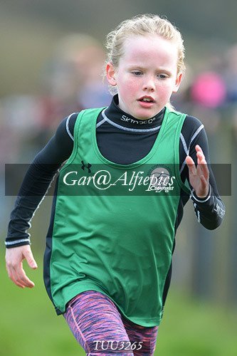 Dyfed Primary Schools Cross Country Year 3 Girls