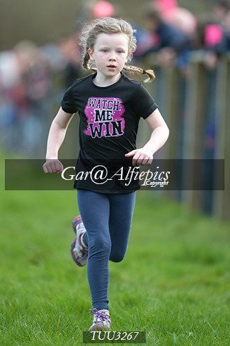 Dyfed Primary Schools Cross Country Year 3 Girls