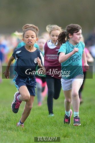 Dyfed Primary Schools Cross Country Year 3 Girls