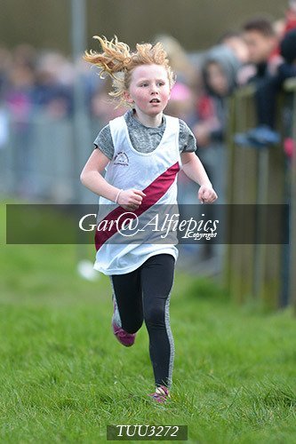 Dyfed Primary Schools Cross Country Year 3 Girls