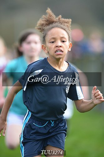 Dyfed Primary Schools Cross Country Year 3 Girls