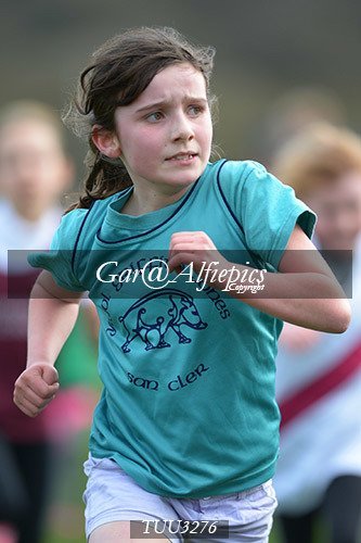 Dyfed Primary Schools Cross Country Year 3 Girls