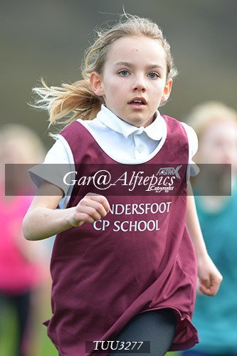 Dyfed Primary Schools Cross Country Year 3 Girls