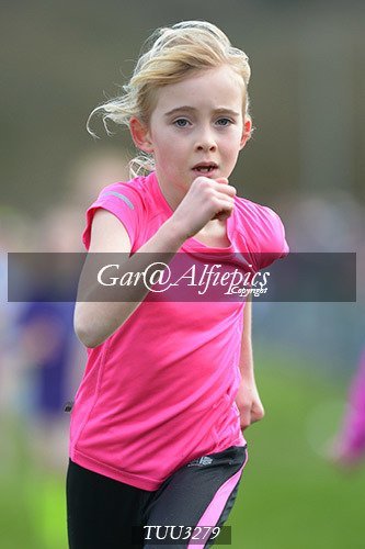 Dyfed Primary Schools Cross Country Year 3 Girls