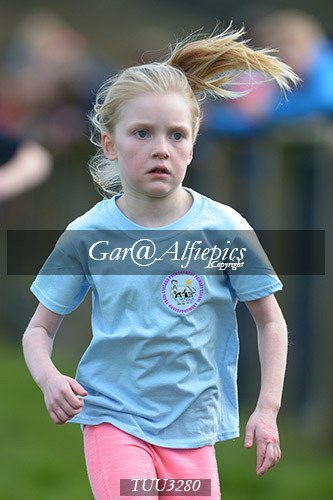 Dyfed Primary Schools Cross Country Year 3 Girls