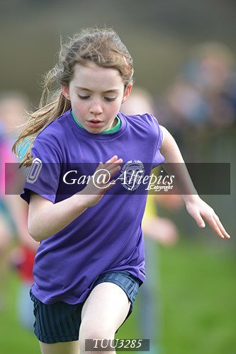 Dyfed Primary Schools Cross Country Year 3 Girls