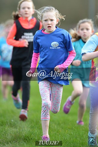Dyfed Primary Schools Cross Country Year 3 Girls