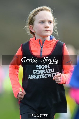 Dyfed Primary Schools Cross Country Year 3 Girls