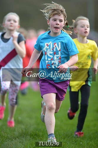 Dyfed Primary Schools Cross Country Year 3 Girls