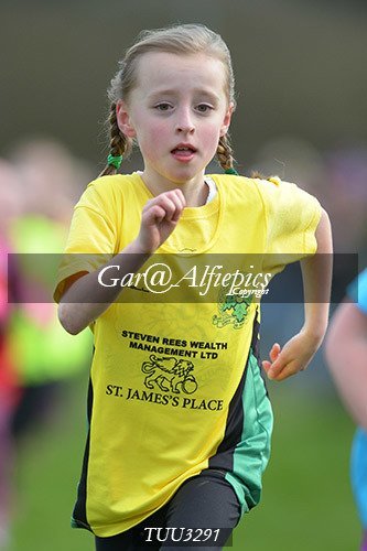 Dyfed Primary Schools Cross Country Year 3 Girls