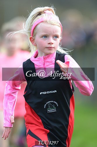 Dyfed Primary Schools Cross Country Year 3 Girls