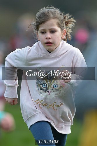 Dyfed Primary Schools Cross Country Year 3 Girls