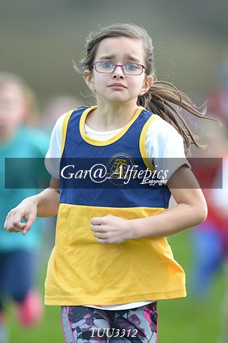Dyfed Primary Schools Cross Country Year 3 Girls