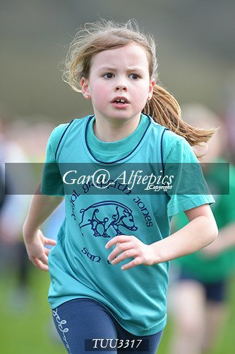 Dyfed Primary Schools Cross Country Year 3 Girls