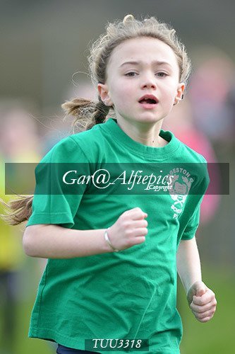 Dyfed Primary Schools Cross Country Year 3 Girls