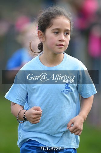 Dyfed Primary Schools Cross Country Year 3 Girls