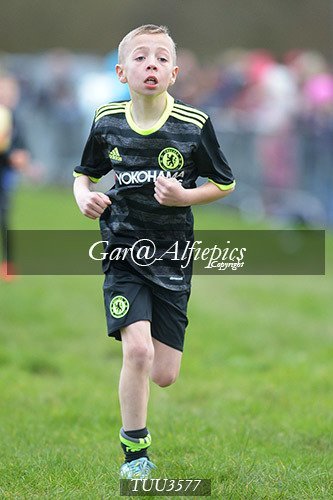 Dyfed Primary Schools Cross Country Year 3 Boys