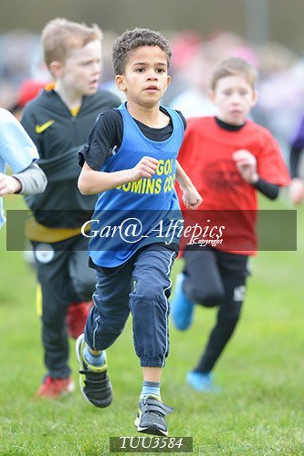 Dyfed Primary Schools Cross Country Year 3 Boys