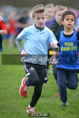 Dyfed Primary Schools Cross Country Year 3 Boys