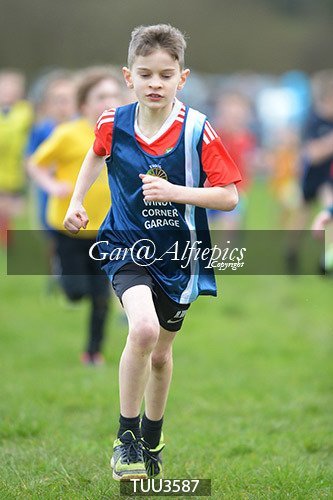 Dyfed Primary Schools Cross Country Year 3 Boys