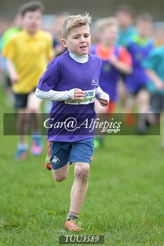 Dyfed Primary Schools Cross Country Year 3 Boys