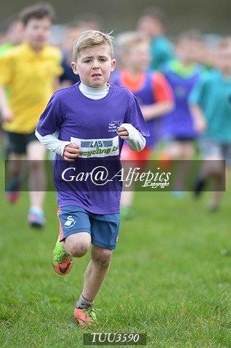 Dyfed Primary Schools Cross Country Year 3 Boys