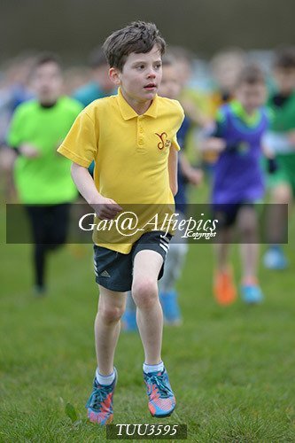 Dyfed Primary Schools Cross Country Year 3 Boys