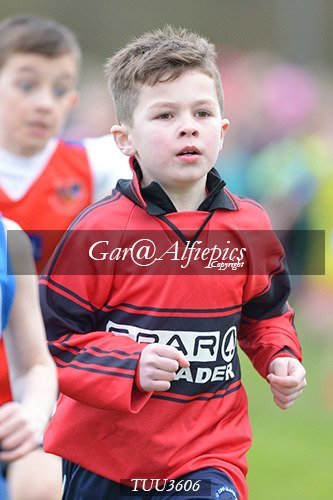 Dyfed Primary Schools Cross Country Year 3 Boys