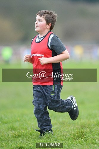 Dyfed Primary Schools Cross Country Year 3 Boys