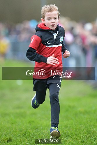 Dyfed Primary Schools Cross Country Year 3 Boys